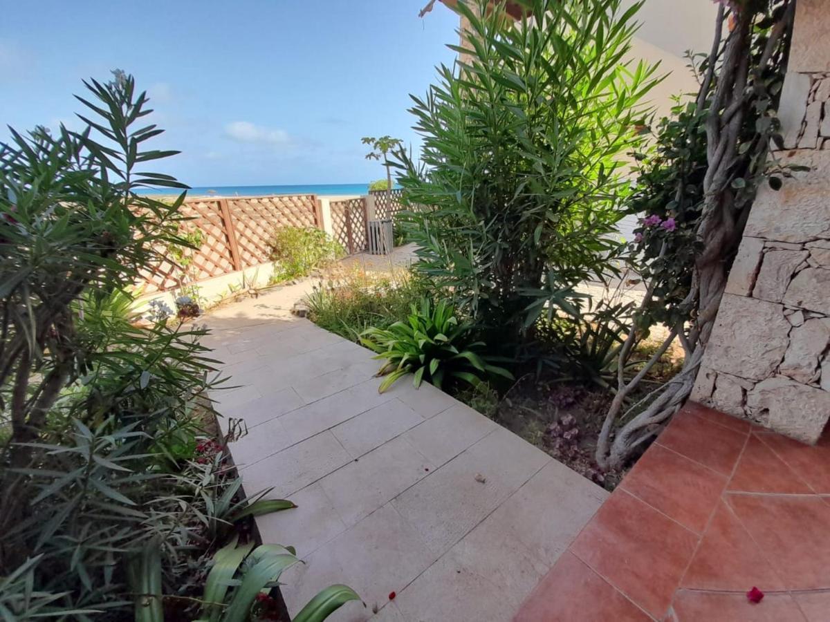 Sal&Love Apt In Porto Antigo ซังตามาเรีย ภายนอก รูปภาพ